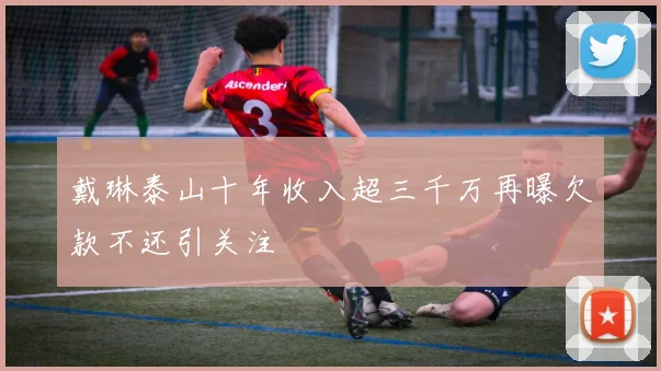 戴琳泰山十年收入超三千万再曝欠款不还引关注