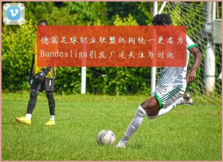 德国足球职业联盟机构统一更名为Bundesliga引发广泛关注与讨论